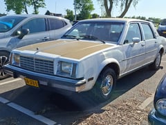 Gespot: een Franse Buick Skylark uit 1982 ...