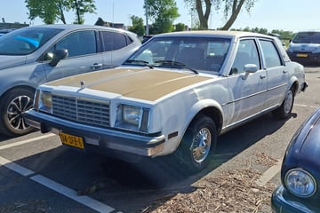 Gespot: een Franse Buick Skylark uit 1982 ...